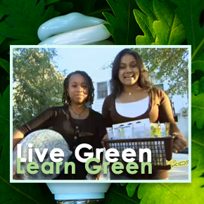 livegreenlearngreen